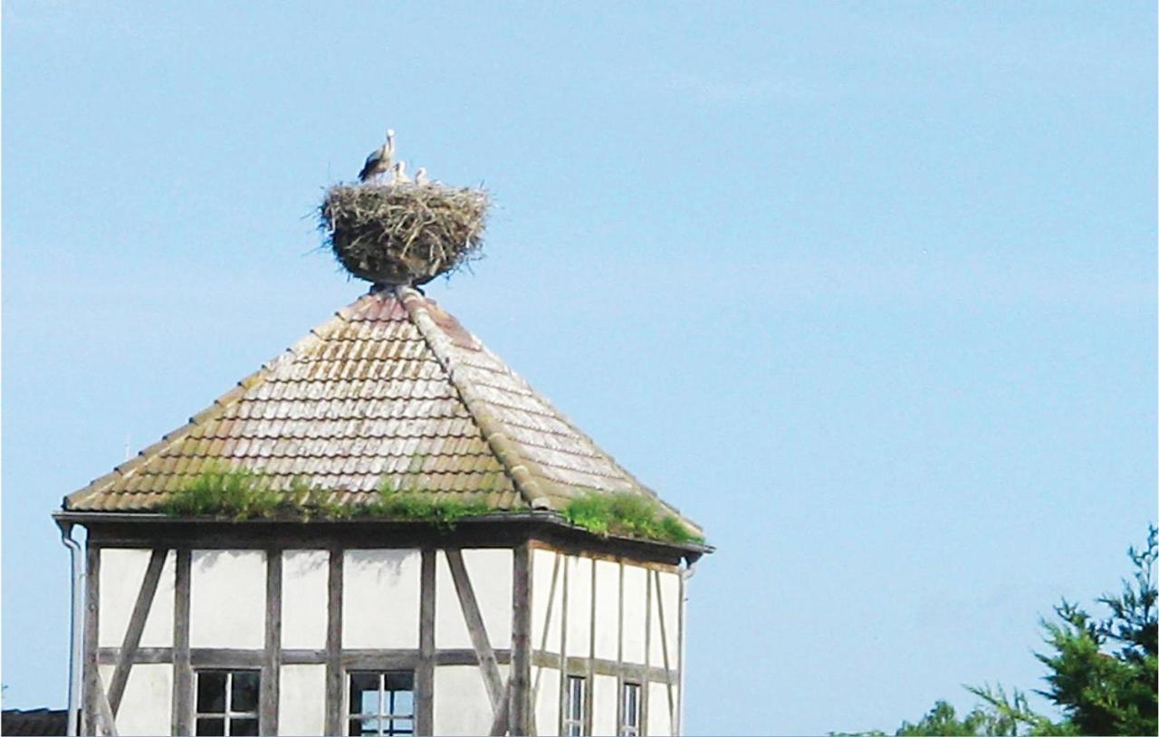 Herrenhaus Luebbenow Ngoại thất bức ảnh